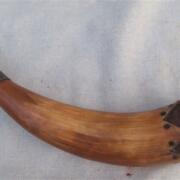 IMG_1658 (2)