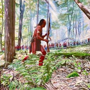 Woodland Engagement