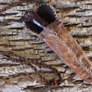 IMG_5802 (2)