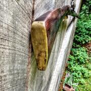 IMG_20240718_103036126