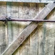 IMG_20240718_103250221