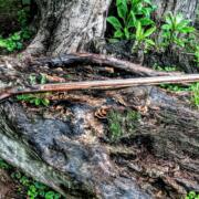 IMG_20240730_095949879
