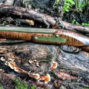 IMG_20240730_100029774