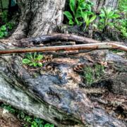 IMG_20240730_100035265