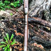 IMG_20240730_100114614