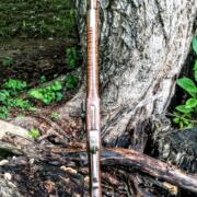 IMG_20240730_100119330