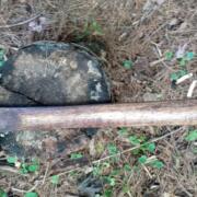 IMG_20240817_162708154