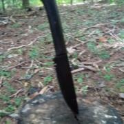 IMG_20240817_162841807
