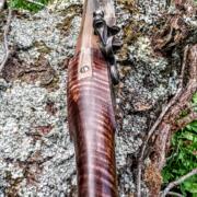 IMG_20241027_153746686