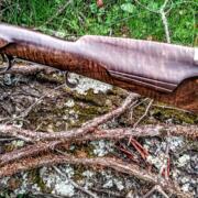 IMG_20241027_153807227