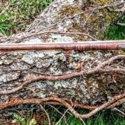 IMG_20241027_153814843