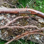IMG_20241027_153822382