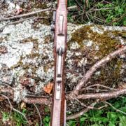 IMG_20241027_153903753