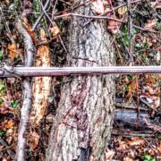 IMG_20241105_170309593