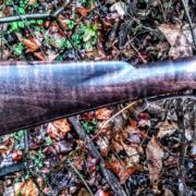 IMG_20241105_170319297