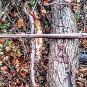 IMG_20241105_170344301