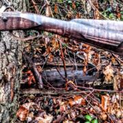 IMG_20241105_170353157