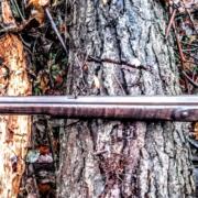 IMG_20241105_170359269