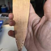 rawhide liner 2