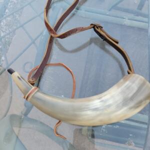horn1