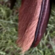 0F18C8E5-42C4-47D3-A93C-5FA414089CB8