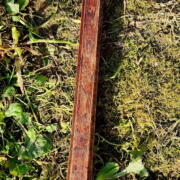 IMG_20250621_200931