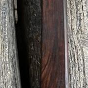 IMG_5790