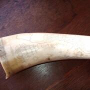 IMG_20260119_163444787