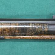 Bartlett_muzzle