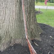 40 cal longrifle (5)