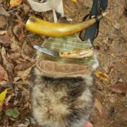 Possum Open